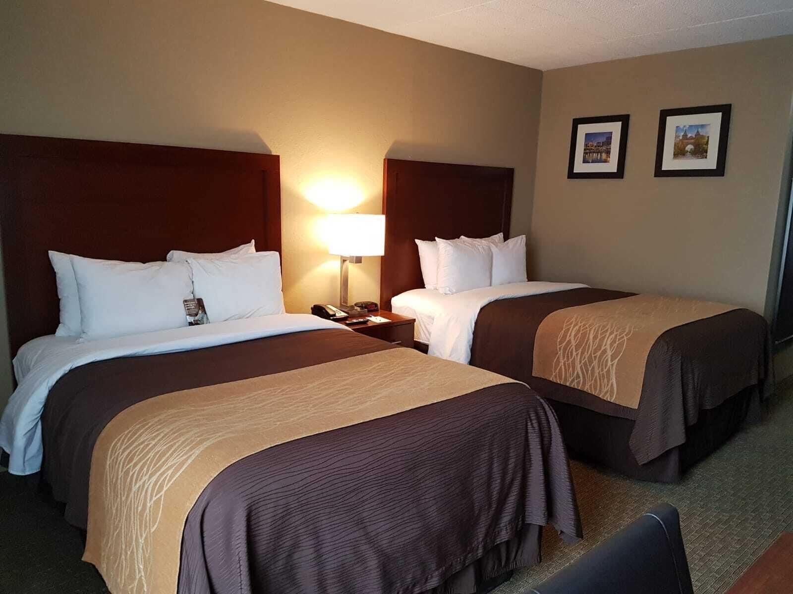 Comfort Inn Wethersfield - Hartford מראה חיצוני תמונה